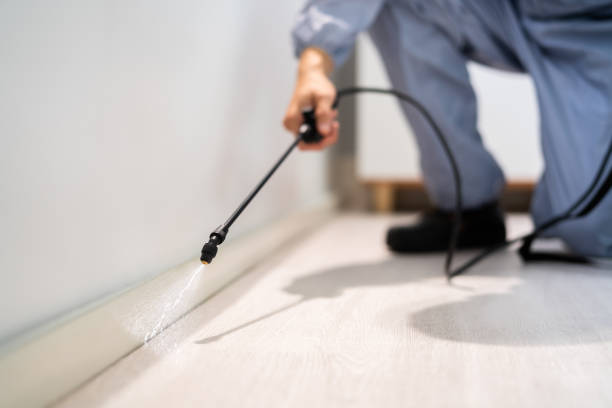 Licensed Wasp Removal service in Cloverleaf, TX - Show Me Pest Control