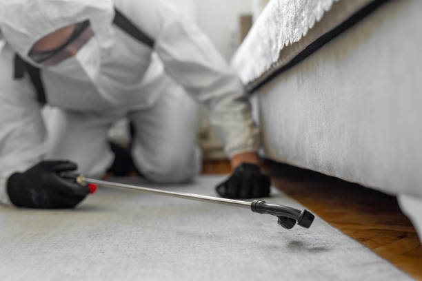 Professional Ant Control technician working in Cloverleaf, TX