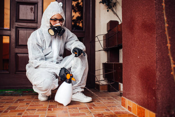 Reliable Wasp Removal contractor in Cloverleaf, TX by Show Me Pest Control